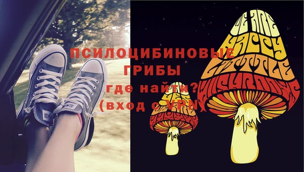 мет Балахна